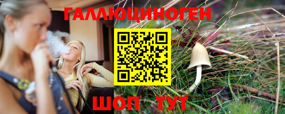 Псилоцибиновые грибы Cubensis  Вход с VPN  Псилоцибиновые грибы Magic Shrooms  Псков 